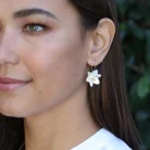 fcbec60c15a4b9f96bcff32c13bc524c60cf08791435397b3bc56b0909c54962